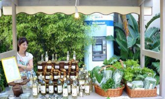 Porto Montenegro: Otvorena pijaca organskih proizvoda