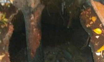 Zemlja „progutala“ stablo u Budvi (FOTO)