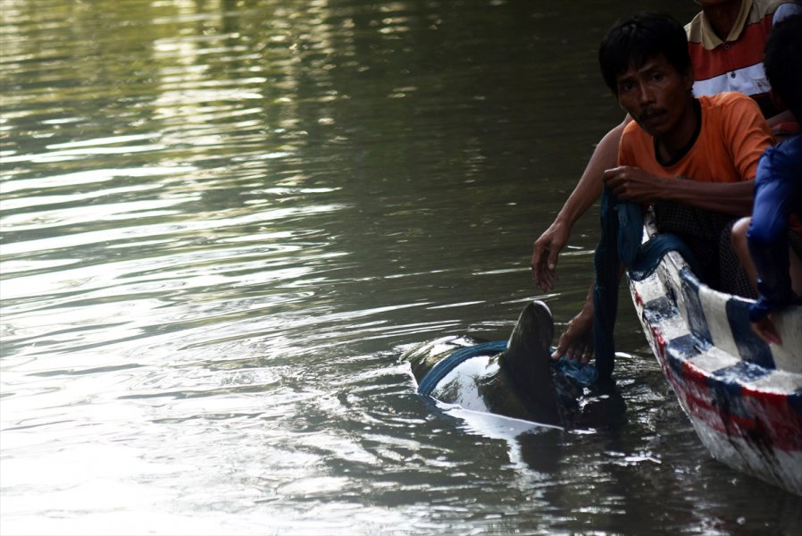 2016061621753379911372851Web