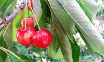 Evo kakvo vas vrijeme očekuje danas i sjutra