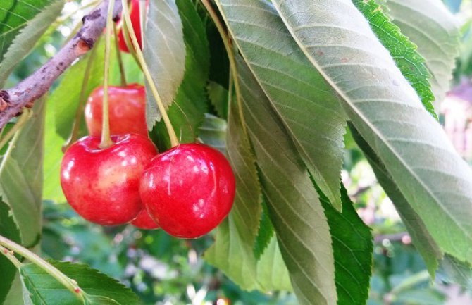 Evo kakvo vas vrijeme očekuje danas i sjutra