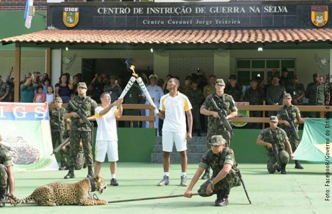 Ubijen jaguar koji je učestvovo u ceremoniji nošenja olimpijske baklje