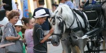 Novi Sad domaćin najvećeg regionalnog festivala tamburice (FOTO)