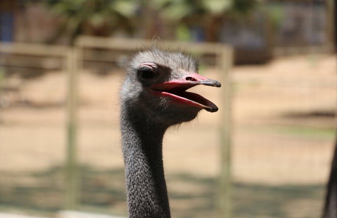 Evo kakvo nas vrijeme očekuje do petka