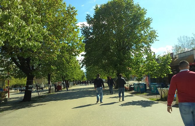 DF: Lipe u Nikšiću ćemo zaštititi na referendumu