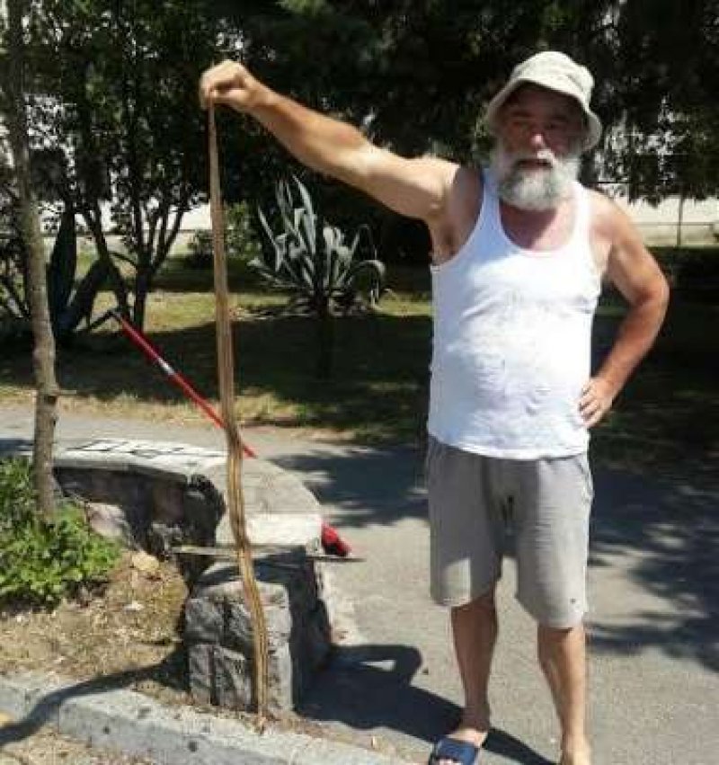 b3764001677721500imagesdrustvo201607kastelanovic