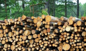 Najjeftiniji vid grijanja u Crnoj Gori i dalje drvo: Evo kako da smanjite cijenu struje