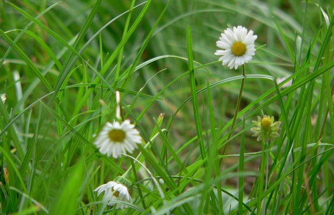 Evo kakvo vas vrijeme očekuje danas i sjutra