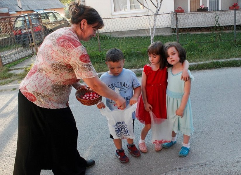 2016070621788467511975338Web