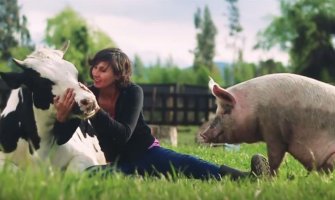 Azil u Čileu prima sve napuštene životinje, kako kućne ljubimce tako i domaće (VIDEO)