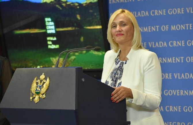 Topifikacija Pljevalja da bude prioritet