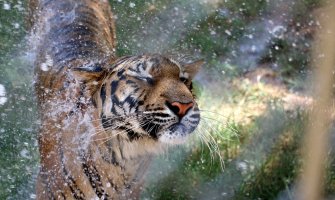  Jun ove godine najtopliji od 1880. godine