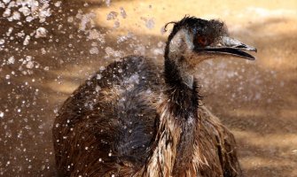 Zbog visokih temperatura narandžasti meteoalarm za danas i sjutra