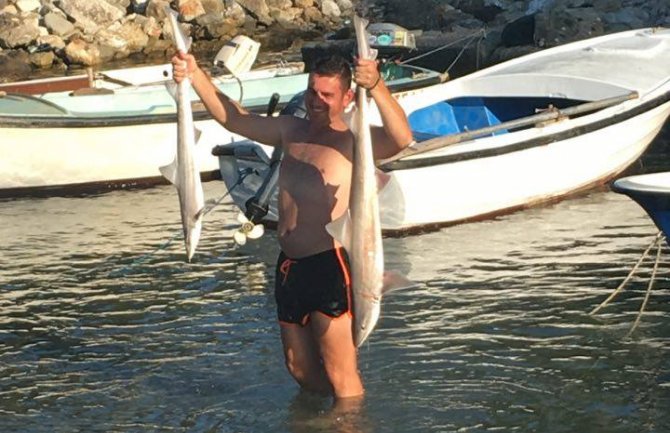 Ulcinj: Ulovljena dva mladunčeta  ajkule