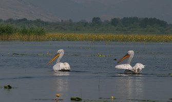 Odvojite vrijeme za sebe i ovoga vikenda posjetite Skadarsko jezero, planinu Lovćen ili Prokletije
