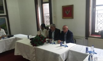 Mustafić: Ojačati saradnju sa iseljenicima