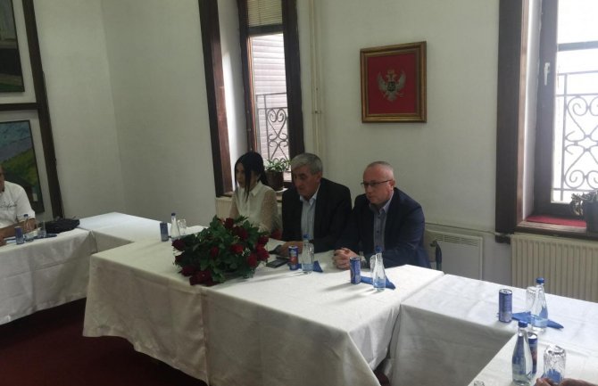 Mustafić: Ojačati saradnju sa iseljenicima