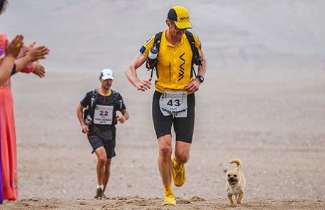 Napušteni pas trčao 125 kilometara uz maratonca i našao sebi dom (Foto)