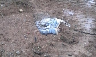 Životinjski otpad na dječijem igralištu nije od zaraženih krava