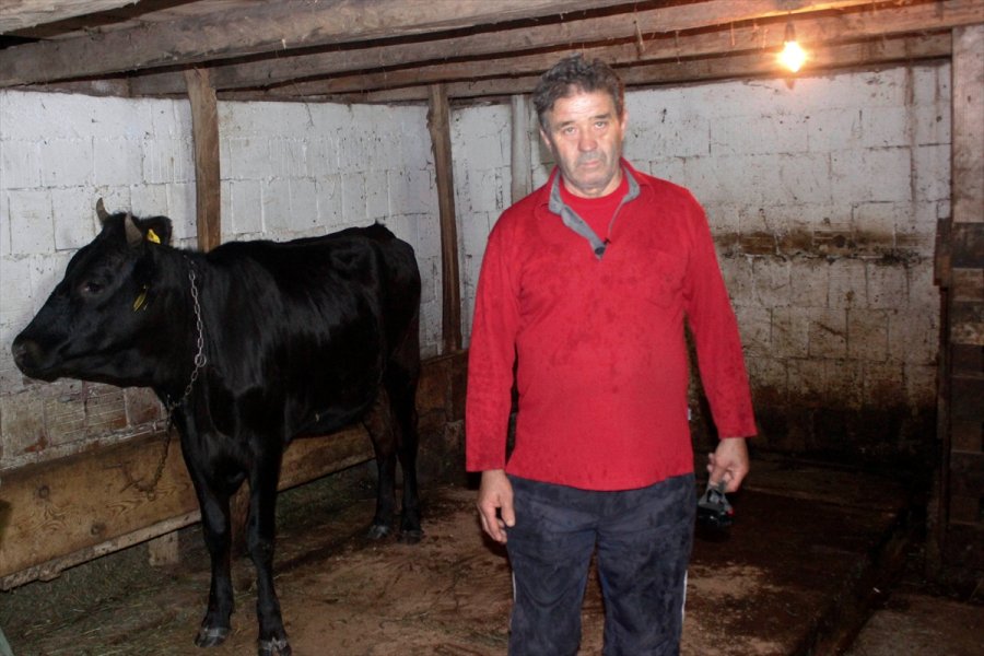 2016081221854865213251162Web