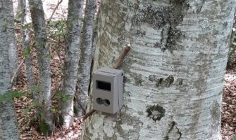 Prve kamere zamke postavljene u NP Biogradska gora