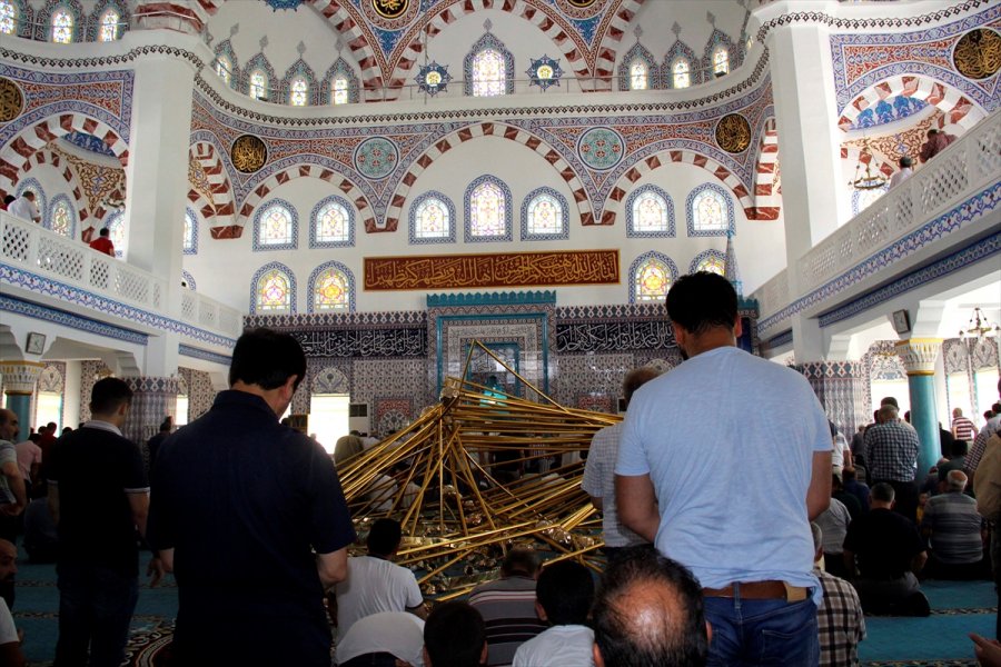 2016082621879901313629597Web