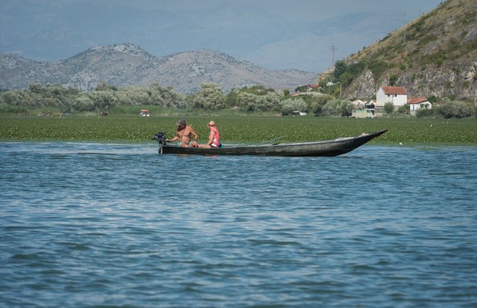 Skadarsko jezero: Prirodni rezervat rijetkih ptica i riba, kudravi pelikan zaštitni znak jezera