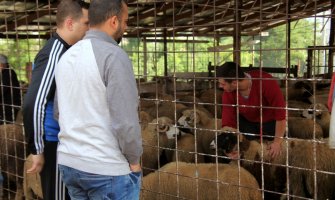  Cijene kurbana kreću se od 110 do 250 eura