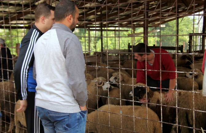  Cijene kurbana kreću se od 110 do 250 eura