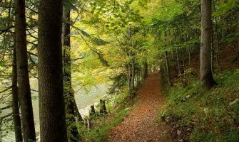 Njemački turisti pronađeni na Biogradskom jezeru