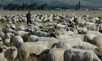 Posljednji crnogorski nomad: Kad čovjek ima cilj i volju, jači je od svih sistema 