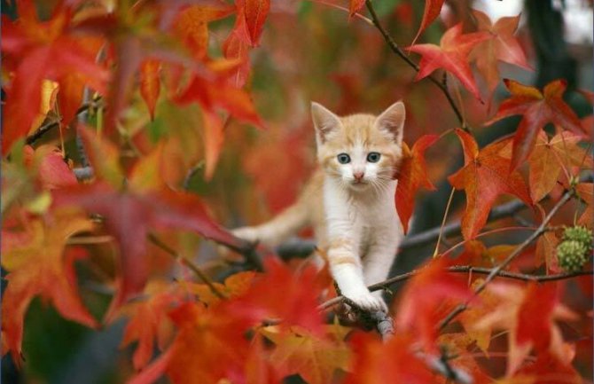 Danas i sjutra sunčano i toplo