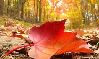 Krajem vikenda zahlađenje, snijeg na sjeveru