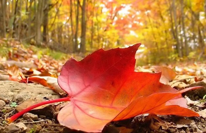 Krajem vikenda zahlađenje, snijeg na sjeveru