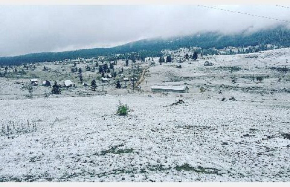 145199056826627585690208030245928947158803n