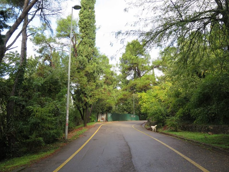 14699870529651817227784706855804n