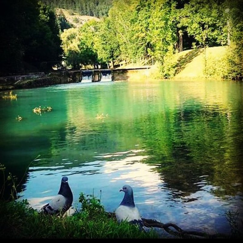 14915455102075846627566287298683979836564104n