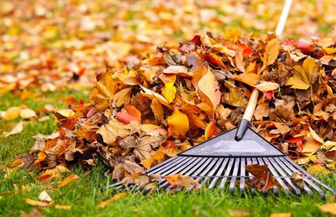 Evo kakvo vas vrijeme očekuje prvih dana novembra