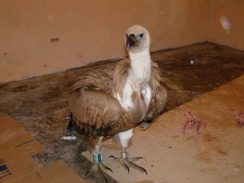 1496254413599501240149967856367913724651262n