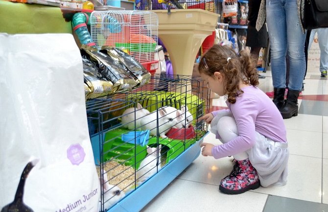  19. i 20. novembra drugi sajam kućnih ljubimaca 
