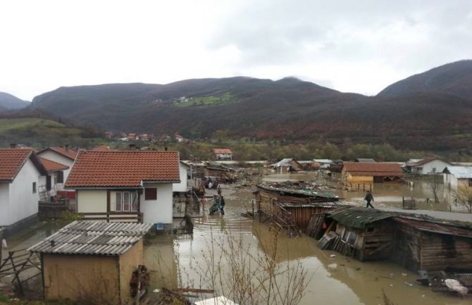 Preporuka Ministarstva: Bitna bezbijednost povrća i životinja