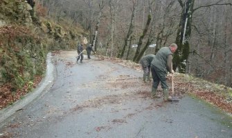 Nacionalni park Biogradska gora od danas otvoren za posjetioce