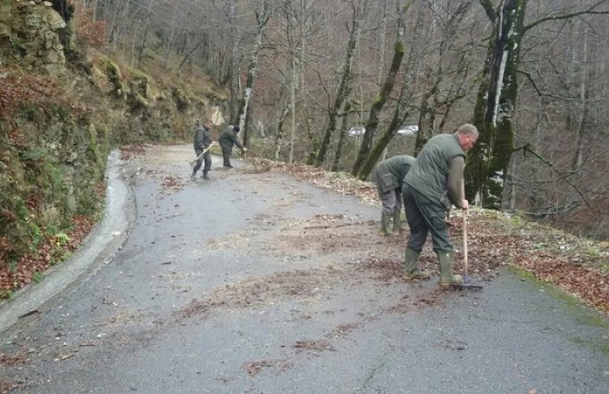 Nacionalni park Biogradska gora od danas otvoren za posjetioce
