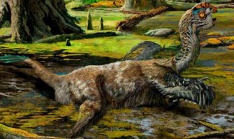 Naučnici vjeruju: Fosil dinosaurusa zarobljen u blatu 72 miliona godina