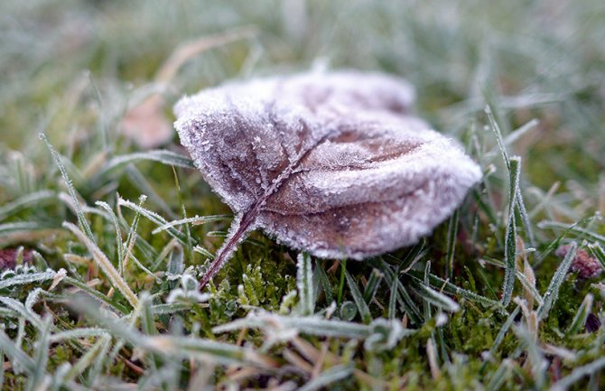 Evo kakvo vas vrijeme očekuje danas i sjutra