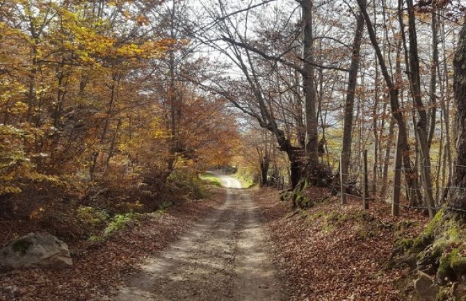 Narednih dana suvo, za vikend ponovo kiša