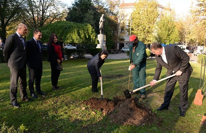 Posađena japanska trešnja u Podgorici: Simbol prijateljstva sa narodom Japana