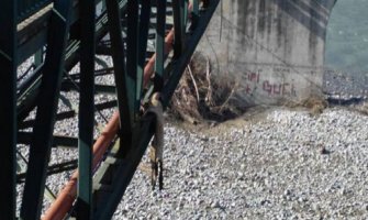 Vlahović: Zbog vašeg nerada mi postajemo bolesno društvo