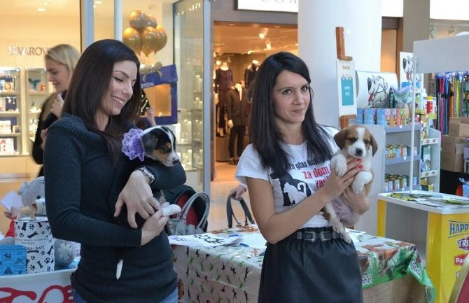 U Delti u toku sajam Pet&Vet, veliko interesovanje za udomljavanje štenaca i ponudu izlagača (Foto)