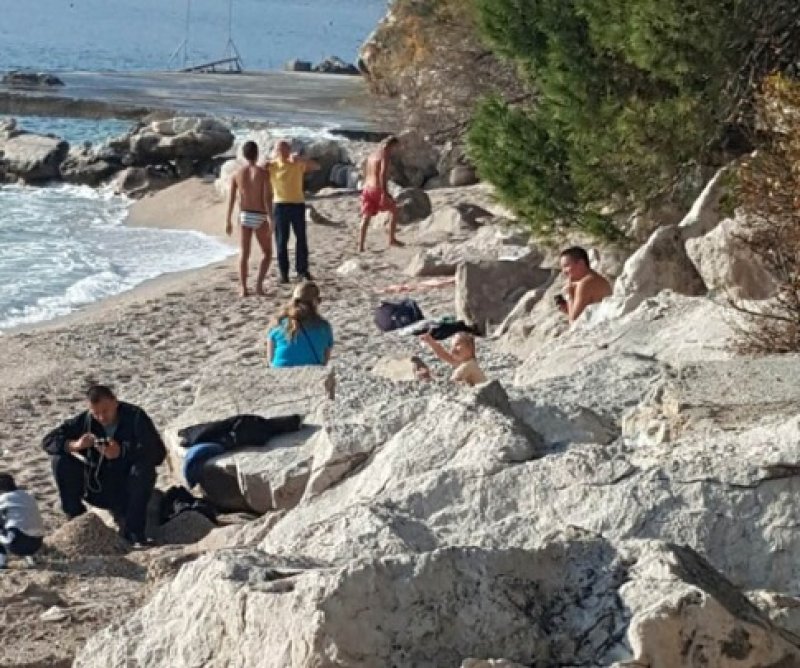 7d9b235546908c410ccf8c0a19660f97